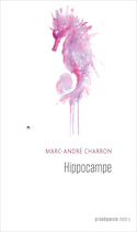 Hippocampe